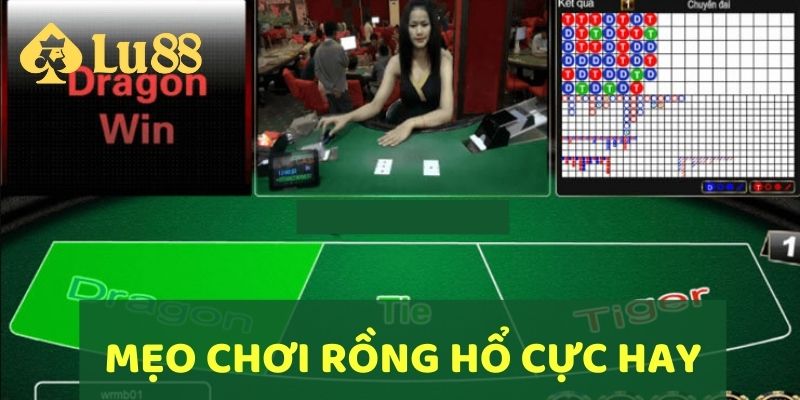Cách chơi Rồng Hổ giúp hội viên giành chiến thắng